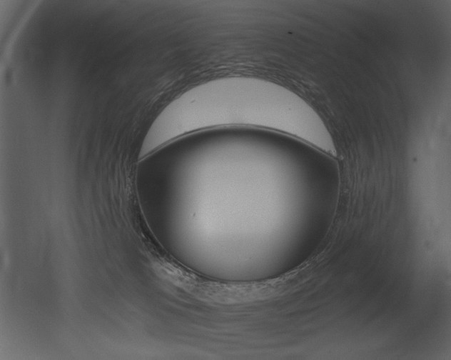 X0000052980037200507081134