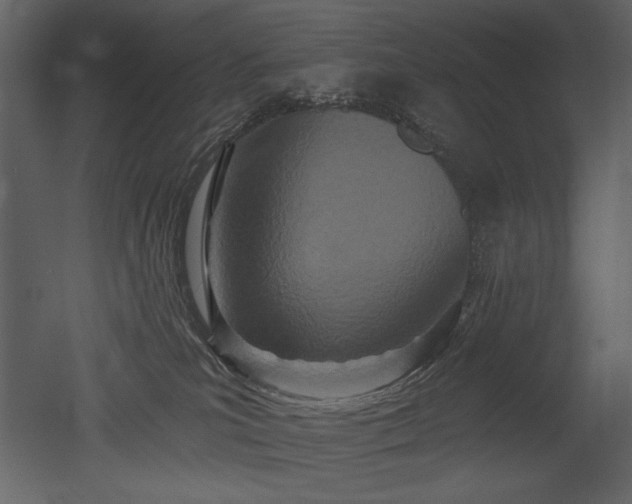 X0000052980039200507081134