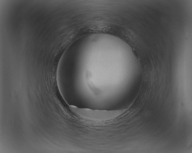 X0000052980040200507081134