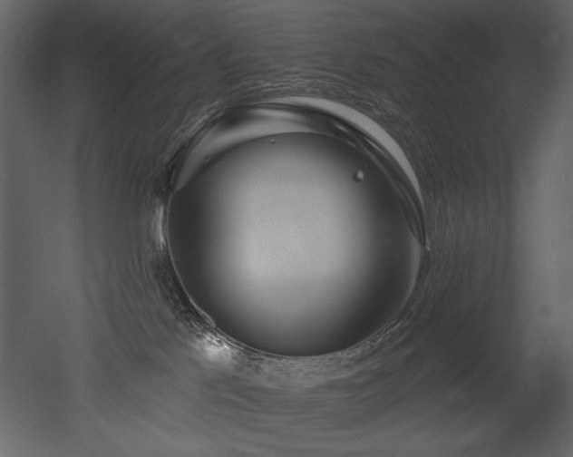 X0000052980041200507081134