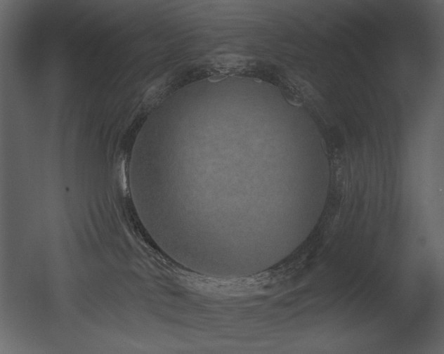 X0000052980042200507081134