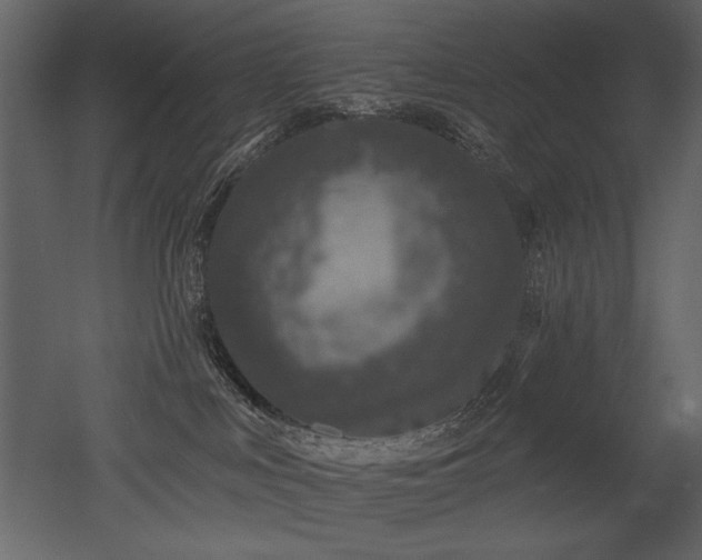X0000052980043200507081134
