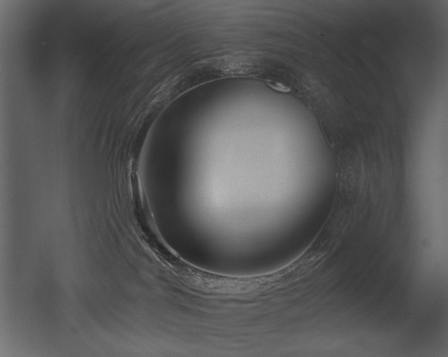 X0000052980044200507081134
