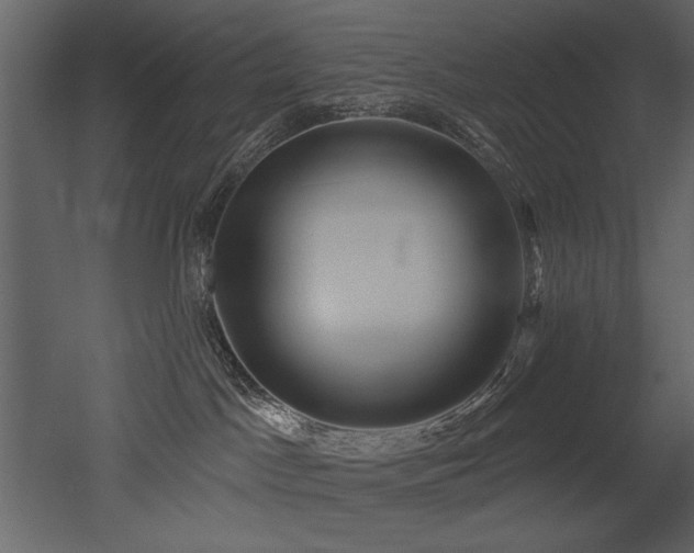 X0000052980045200507081134