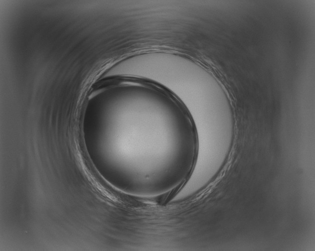 X0000052980049200507081133