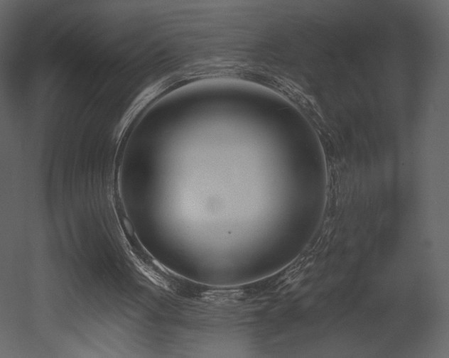 X0000052980051200507081133