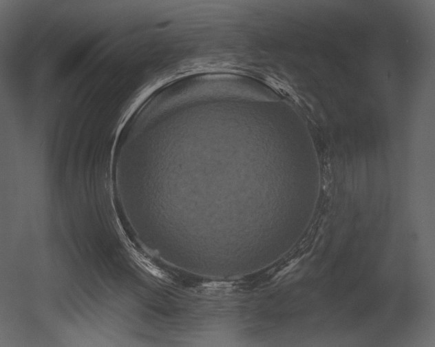 X0000052980052200507081133