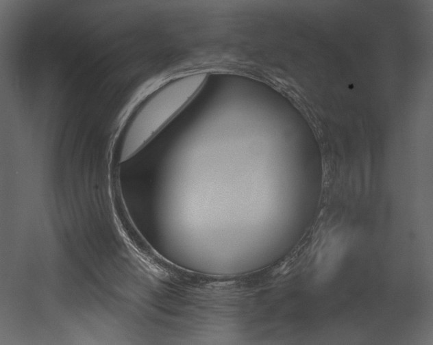X0000052980054200507081133