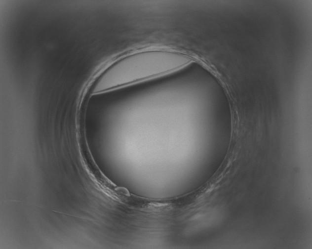 X0000052980055200507081133