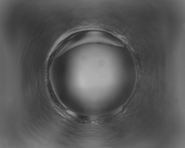 X0000052980056200507081133