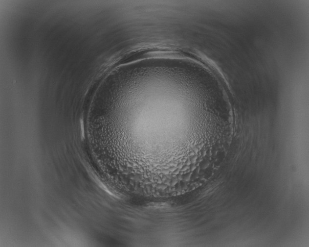 X0000052980061200507081133