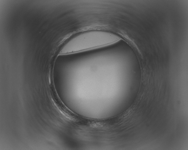 X0000052980062200507081134