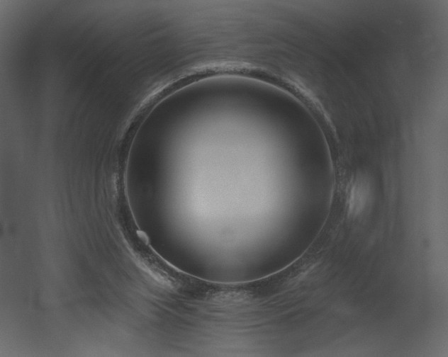 X0000052980063200507081134
