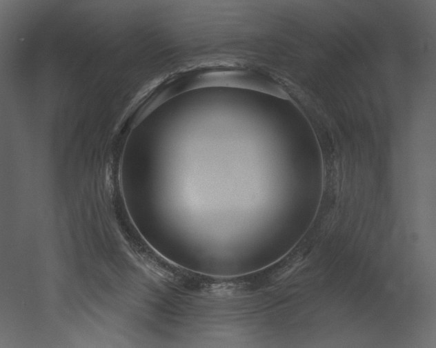 X0000052980064200507081134