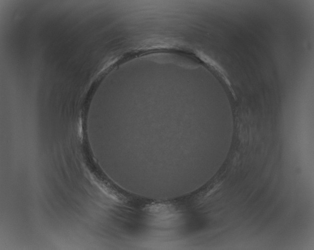 X0000052980067200507081134