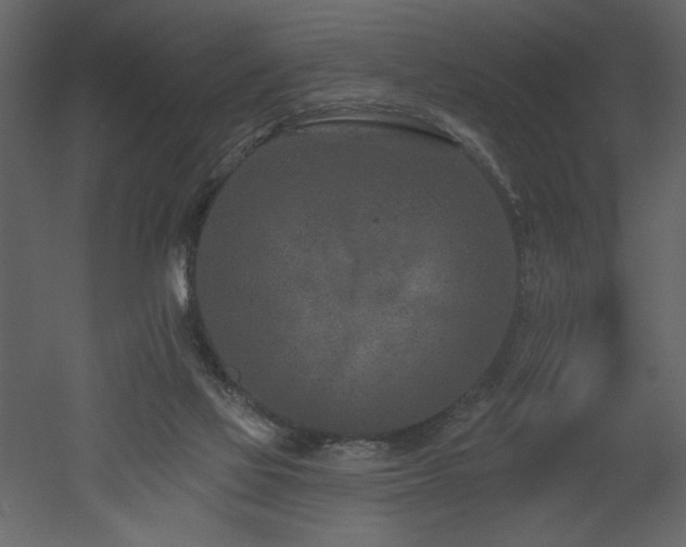 X0000052980069200507081134