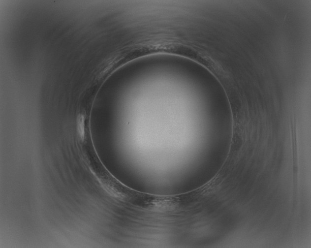 X0000052980070200507081134