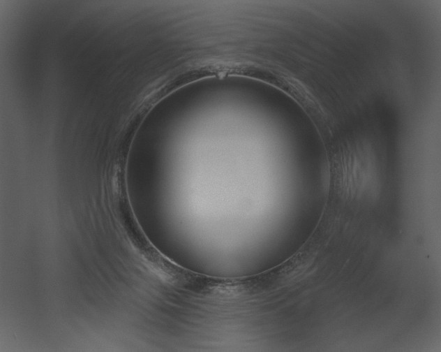 X0000052980071200507081134