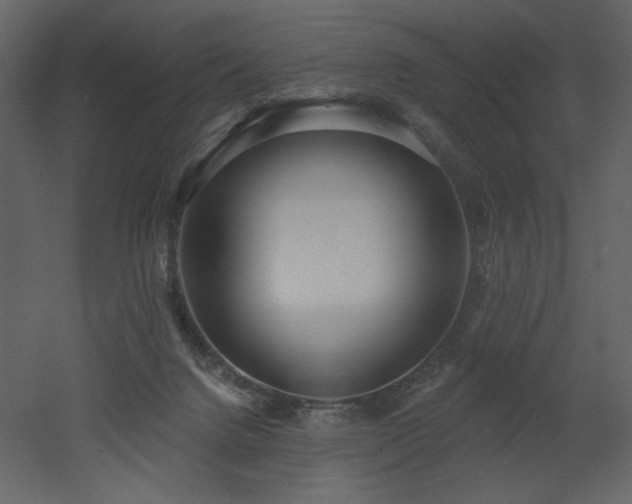 X0000052980072200507081134