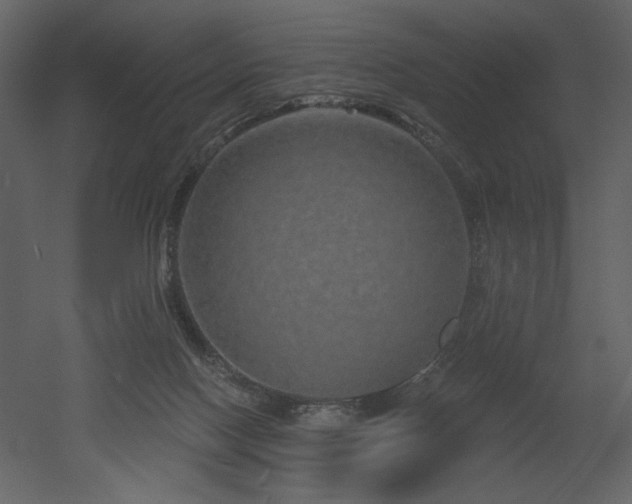 X0000052980074200507081134