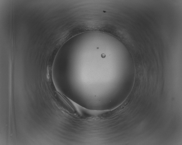 X0000052980075200507081134