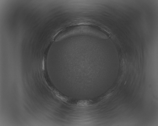X0000052980076200507081134