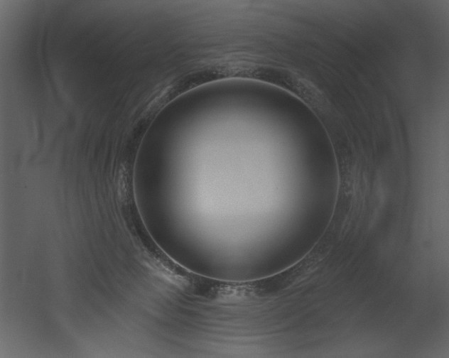 X0000052980077200507081134