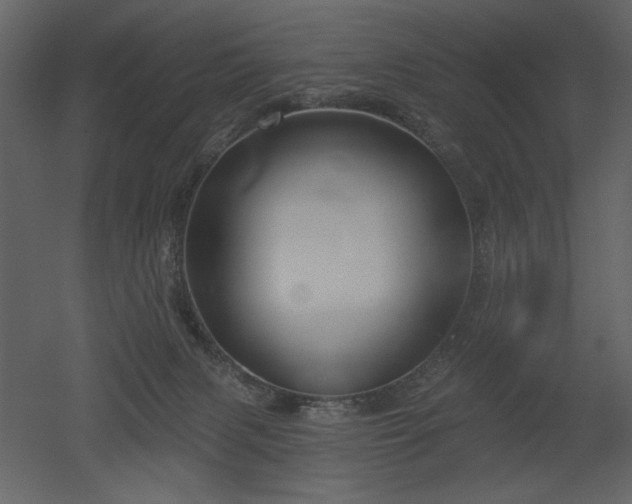 X0000052980079200507081134