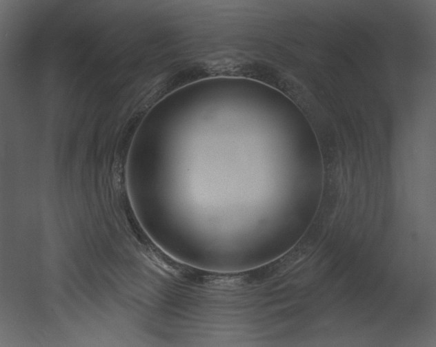 X0000052980081200507081134