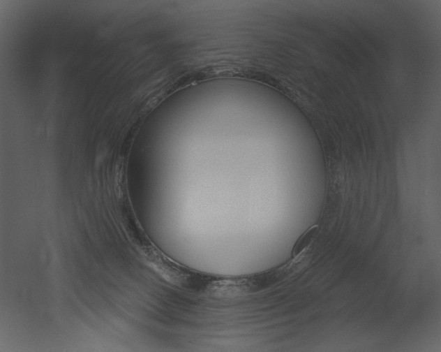 X0000052980082200507081134