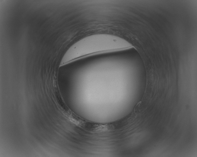 X0000052980083200507081134