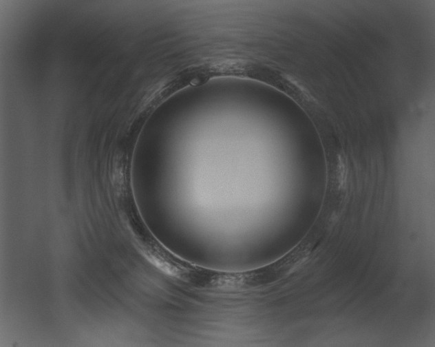 X0000052980084200507081134