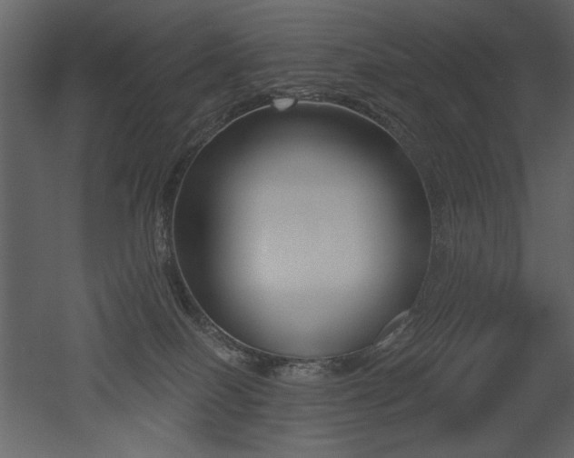 X0000052980086200507081134