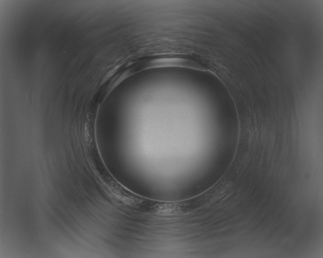 X0000052980088200507081134