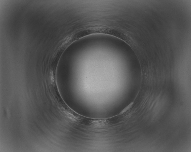 X0000052980089200507081134