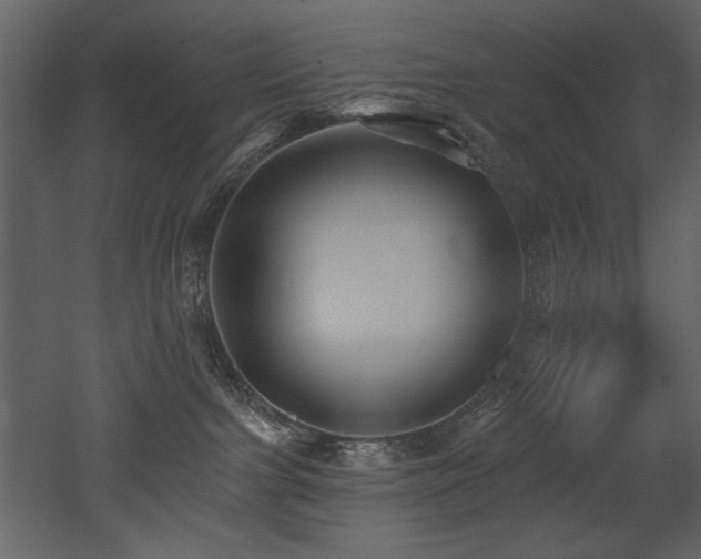 X0000052980091200507081134