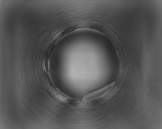 X0000052980096200507081134