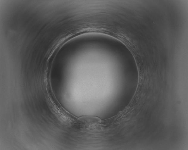 X0000052980098200507081133