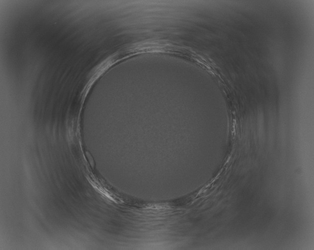 X0000052980099200507081133