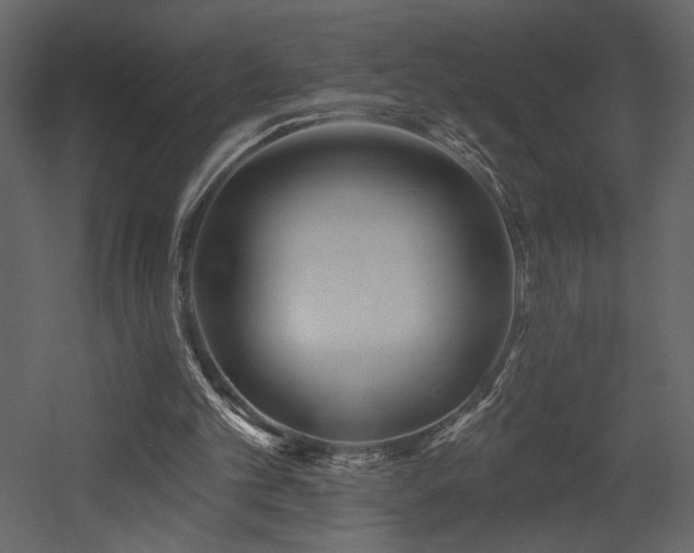 X0000052980101200507081133