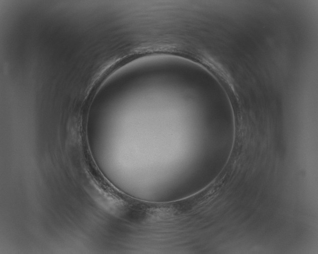 X0000052980107200507081133