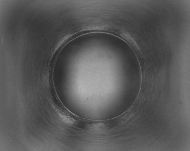 X0000052980108200507081133