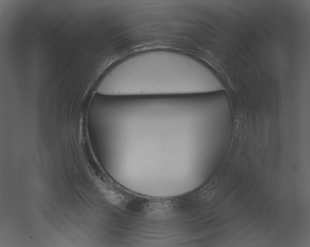 X0000052980110200507081133
