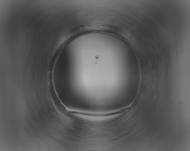 X0000052980111200507081133