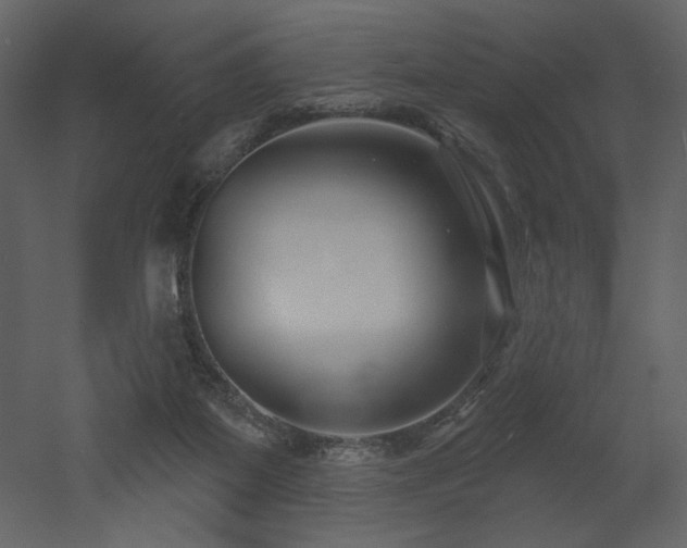 X0000052980115200507081133