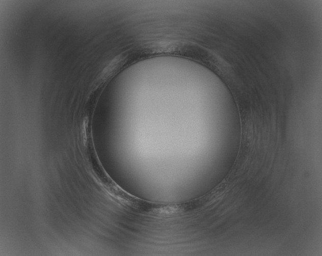 X0000052980118200507081133