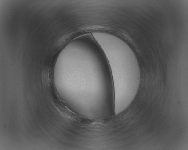 X0000052980119200507081133
