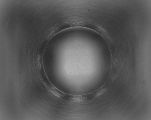 X0000052980121200507081133
