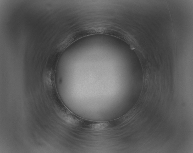 X0000052980122200507081133
