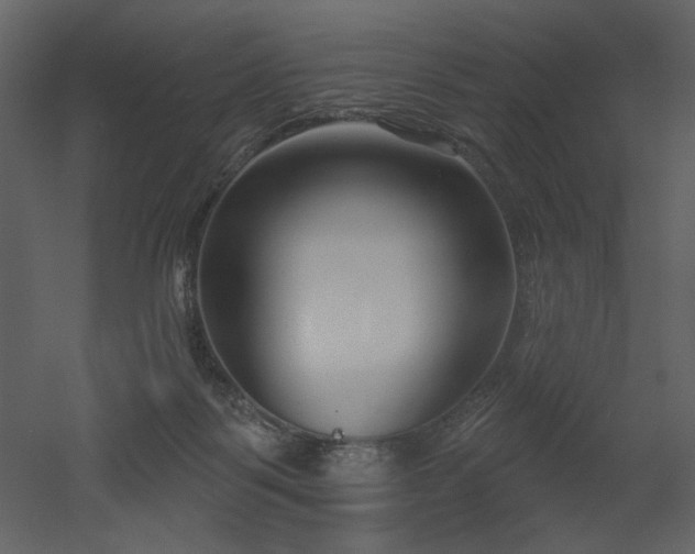 X0000052980123200507081133